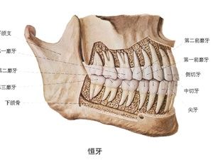 杭州做颌面整形好的专家医生排名前三：唐冬生、项昌峰、高俊明，擅长改脸型、颅颌面修复、下颌角缩小、颧骨颧弓整形