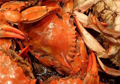 螃蟹与哪些食物相克？不可与螃蟹一起食用的食物清单