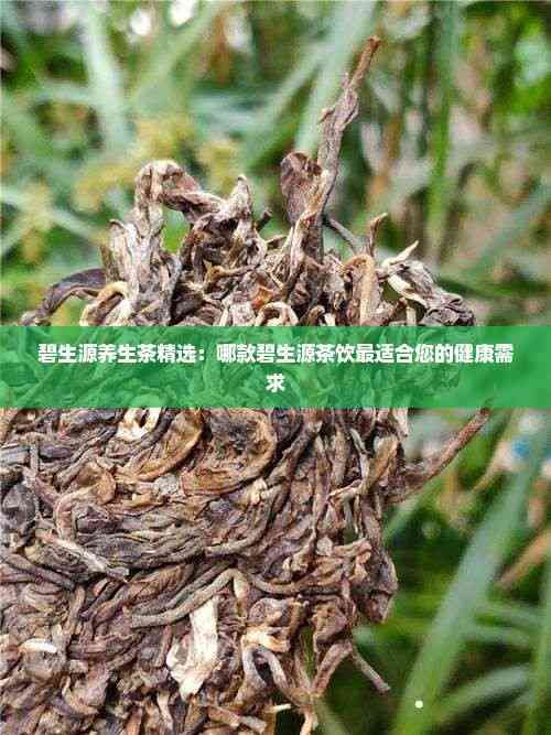 碧生源養(yǎng)生茶精選：哪款碧生源茶飲最適合您的健康需求