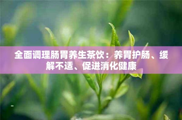 全面調(diào)理腸胃養(yǎng)生茶飲：養(yǎng)胃護腸、緩解不適、促進消化健康