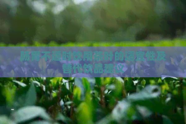 腸胃不適時(shí)飲用茶葉的適宜性及替代飲品建議