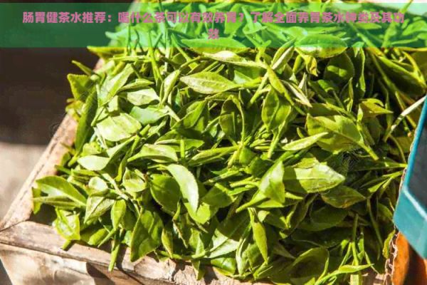 腸胃健茶水推薦：喝什么茶可以有效養(yǎng)胃？了解全面養(yǎng)胃茶水種類及其功效