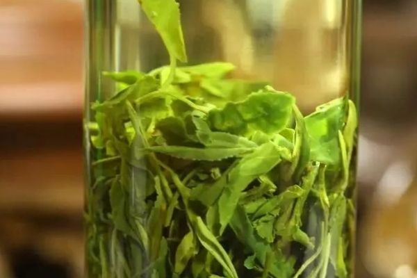 十大最護肝的茶，適合長期喝的養(yǎng)肝護肝茶