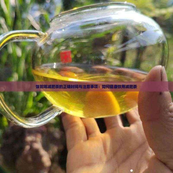 飯前喝減肥茶的正確時間與注意事項：如何健康飲用減肥茶