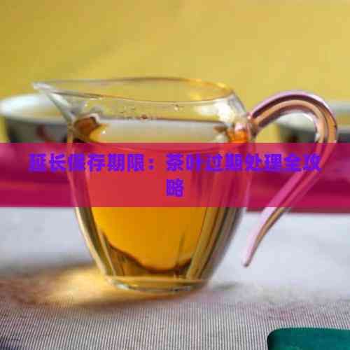 延長(zhǎng)保存期限：茶葉過期處理全攻略