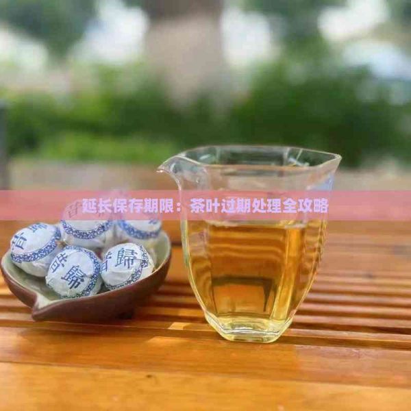 延長(zhǎng)保存期限：茶葉過期處理全攻略