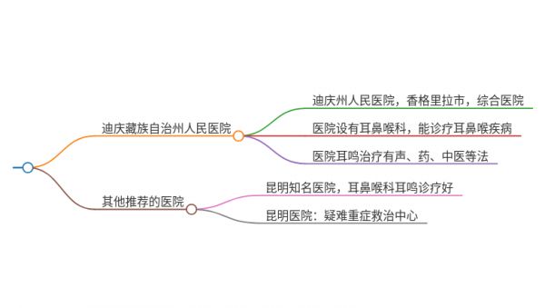 2025年云南迪慶治療耳鳴伴低血壓的醫(yī)院有哪些