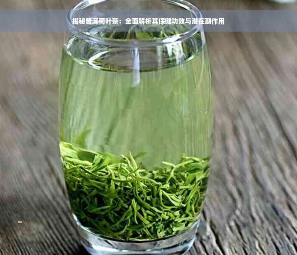 揭秘普洱荷葉茶：全面解析其保健功效與潛在副作用