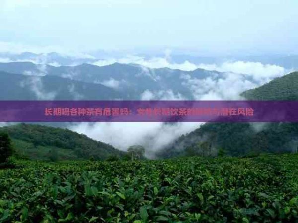 長期喝各種茶有危害嗎：女性長期飲茶的影響與潛在風(fēng)險(xiǎn)