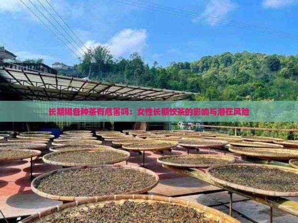 長期喝各種茶有危害嗎：女性長期飲茶的影響與潛在風(fēng)險(xiǎn)