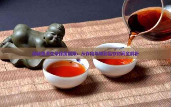揭秘普洱生茶保質(zhì)期限：從存儲年限到品飲時間全解析