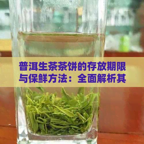 普洱生茶茶饼的存放期限与保鲜方法：全面解析其保质期与品饮年限