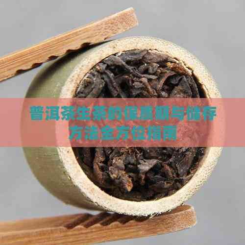 普洱茶生茶的保質期與儲存方法全方位指南