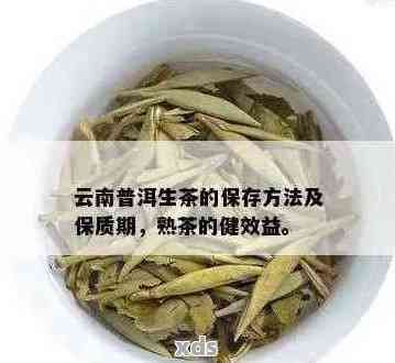 普洱茶生茶保質期限：多久？