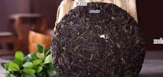 普洱茶生茶保質期限：多久？
