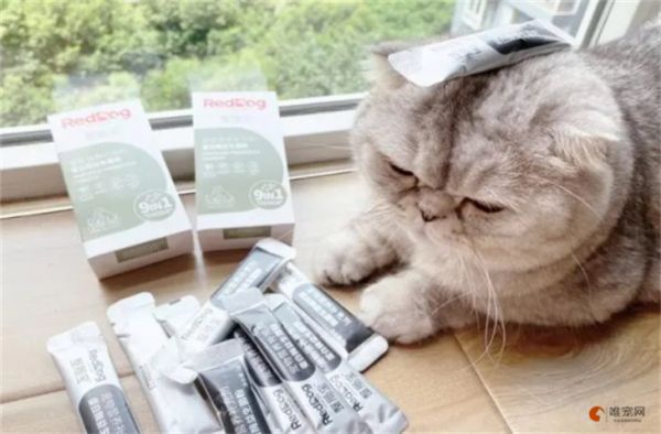 益生菌放貓糧里多久失效 能隔夜嗎