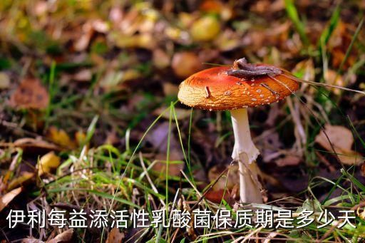 伊利每益添活性乳酸菌保質(zhì)期是多少天