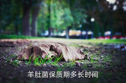 羊肚菌保質(zhì)期多長(zhǎng)時(shí)間