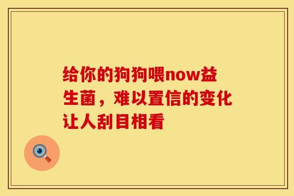 給你的狗狗喂now益生菌，難以置信的變化讓人刮目相看