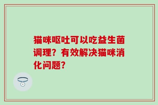 貓咪嘔吐可以吃益生菌調(diào)理？有效解決貓咪消化問題？