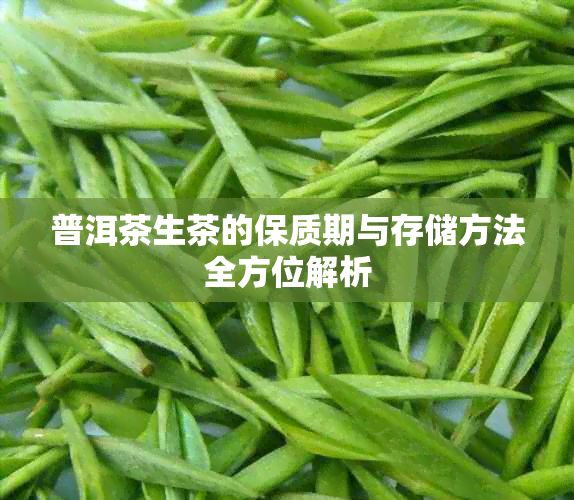 普洱茶生茶的保质期与存储方法全方位解析