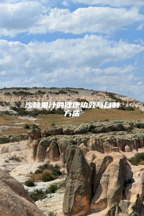沙棘果汁的健康功效與自制方法