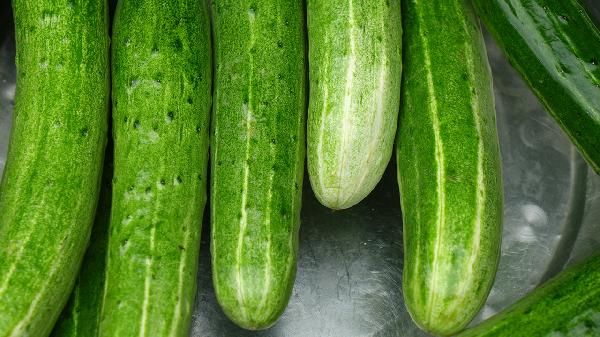 蔬菜黃瓜減肥食譜怎么做？