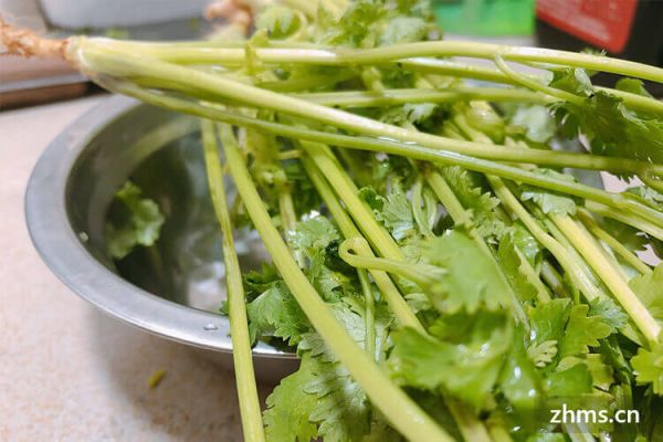 蔬菜减肥法怎么做最有效