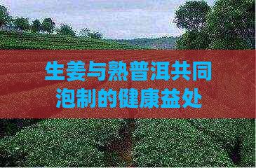 生姜與熟普洱共同泡制的健康益處