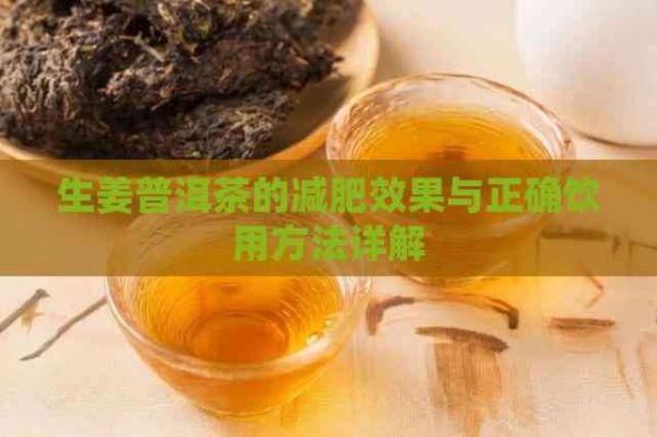生姜普洱茶的減肥效果與正確飲用方法詳解