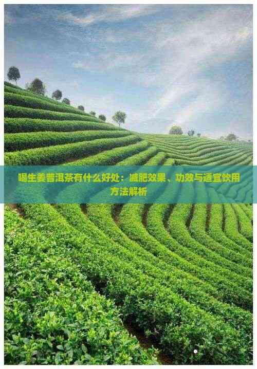 喝生姜普洱茶有什么好處：減肥效果、功效與適宜飲用方法解析