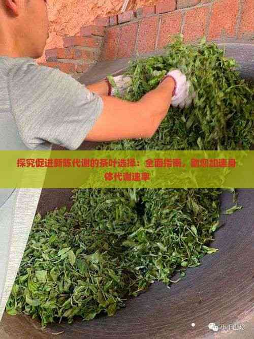 探究促進(jìn)新陳代謝的茶葉選擇：全面指南，助您加速身體代謝速率