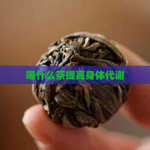 喝什么茶提高身體代謝