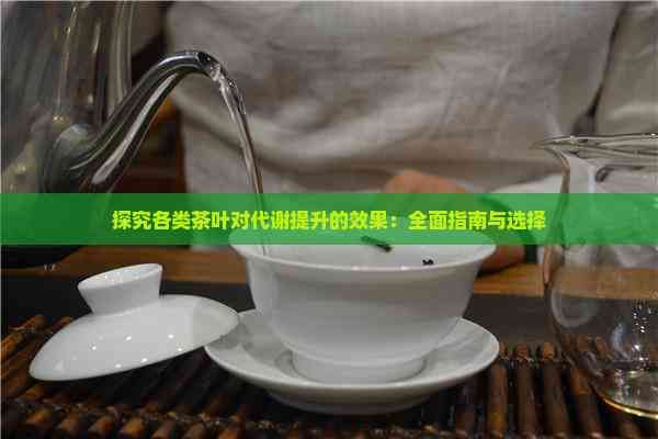 探究各類茶葉對(duì)代謝提升的效果：全面指南與選擇