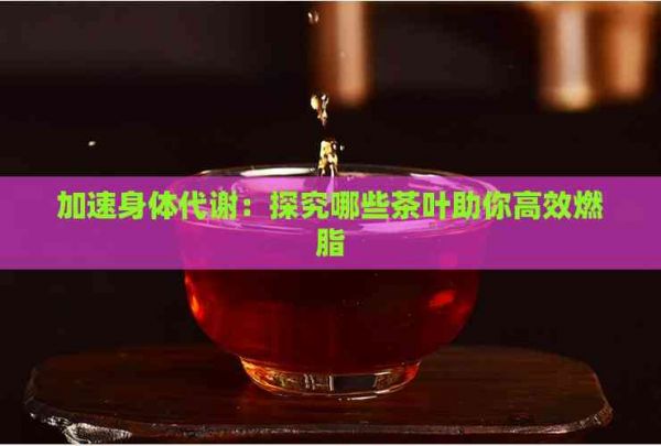 加速身體代謝：探究哪些茶葉助你高效燃脂