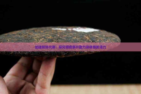 加速新陳代謝：探究哪些茶葉助力身體煥發(fā)活力