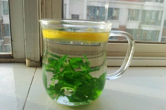 薄荷茶的功效與作用，喝薄荷茶有什么好處？