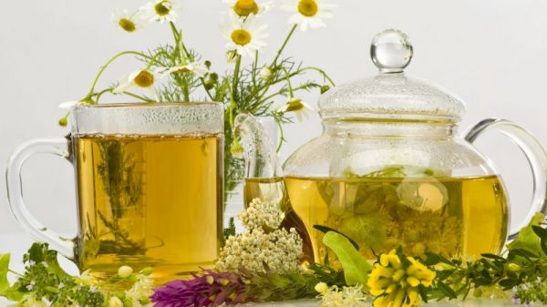 懷孕能喝菊花茶嗎