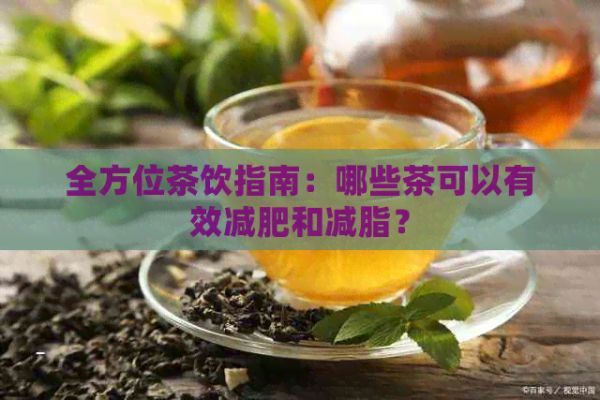 全方位茶饮指南：哪些茶可以有效减肥和减脂？