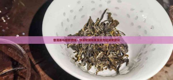 普洱茶與脂肪燃燒：飯后飲用效果及全方位減肥建議