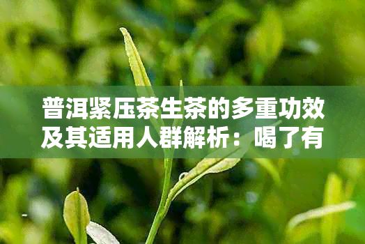 普洱緊壓茶生茶的多重功效及其適用人群解析：喝了有什么好處？