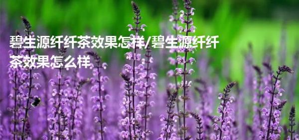 碧生源纖纖茶效果怎樣/碧生源纖纖茶效果怎么樣
