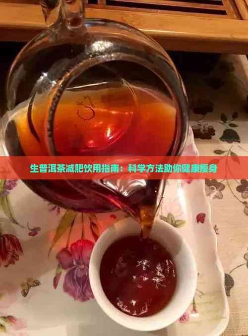 生普洱茶减肥饮用指南：科学方法助你健康瘦身