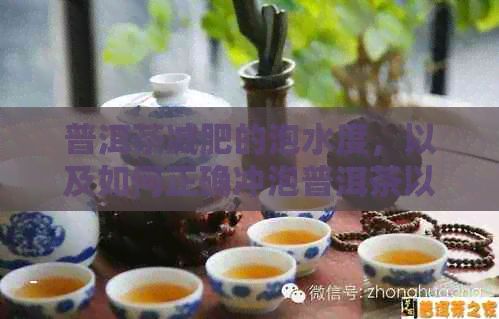普洱茶減肥的泡水度，以及如何正確沖泡普洱茶以達(dá)到減肥效果