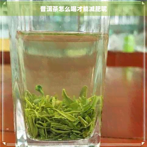 普洱茶怎么喝才能减肥呢