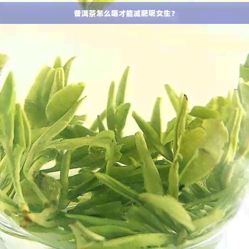 普洱茶怎么喝才能减肥呢女生？