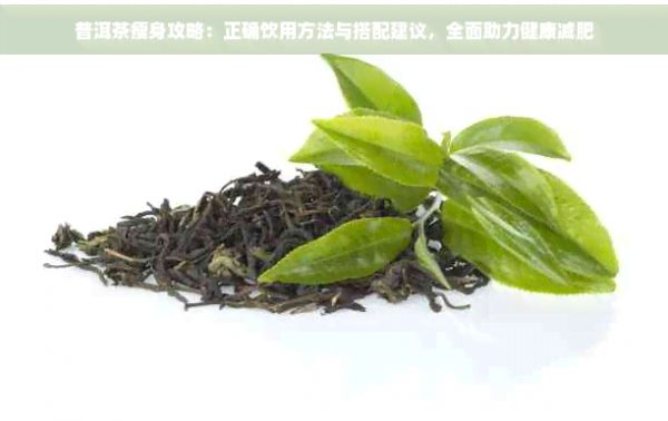 普洱茶瘦身攻略：正確飲用方法與搭配建議，全面助力健康減肥