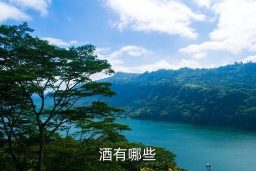 酒有哪些