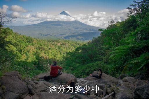 酒分为多少种