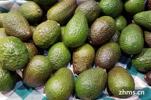 牛油果高熱量